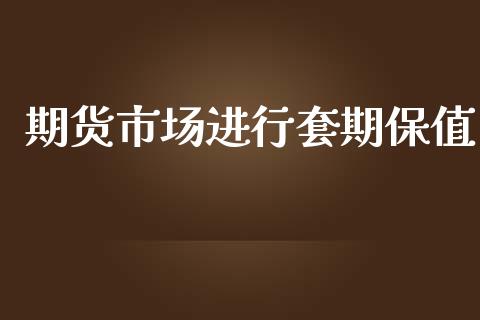 期货市场进行套期保值_https://m.jnkyh.com_国际原油_第1张