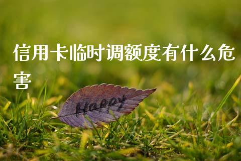 信用卡临时调额度有什么危害_https://m.jnkyh.com_股指期货_第1张