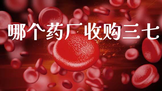 哪个药厂收购三七_https://m.jnkyh.com_股指期货_第1张