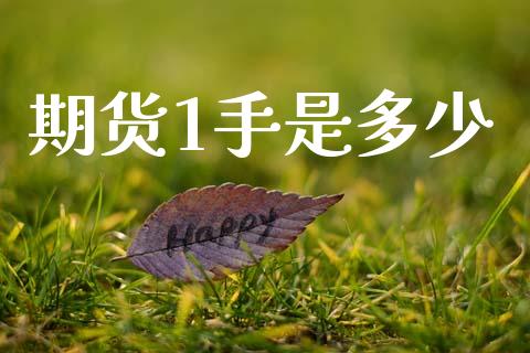 期货1手是多少_https://m.jnkyh.com_股票交易_第1张