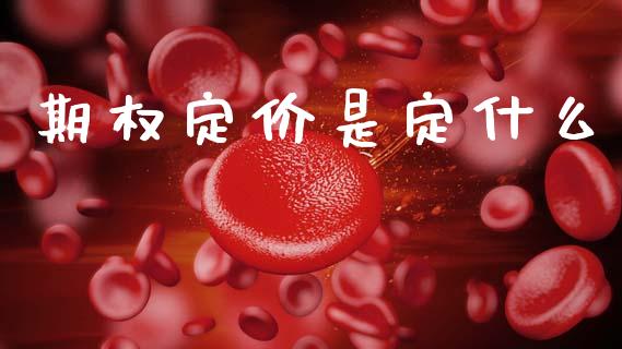 期权定价是定什么_https://m.jnkyh.com_国际原油_第1张