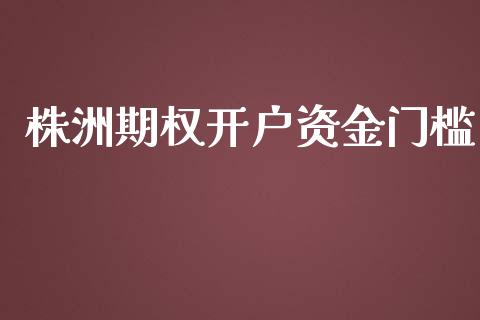 株洲期权开户资金门槛_https://m.jnkyh.com_期货开户条件_第1张