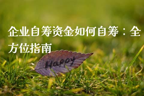 企业自筹资金如何自筹：全方位指南_https://m.jnkyh.com_期货开户条件_第1张