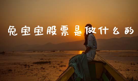兔宝宝股票是做什么的_https://m.jnkyh.com_国际原油_第1张