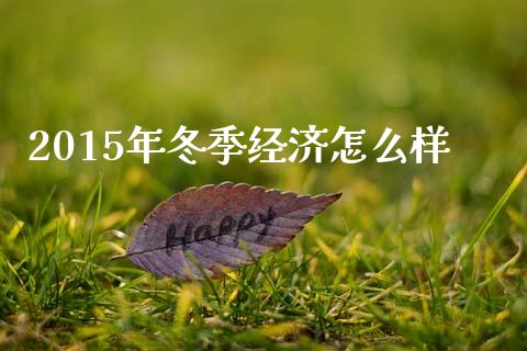 2015年冬季经济怎么样_https://m.jnkyh.com_期货开户条件_第1张