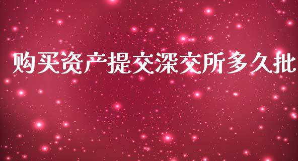 购买资产提交深交所多久批_https://m.jnkyh.com_期货开户条件_第1张