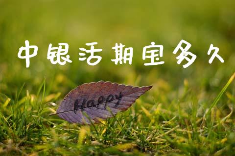 中银活期宝多久_https://m.jnkyh.com_期货开户条件_第1张