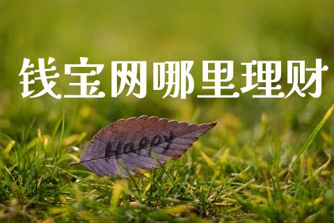钱宝网哪里理财_https://m.jnkyh.com_股票交易_第1张