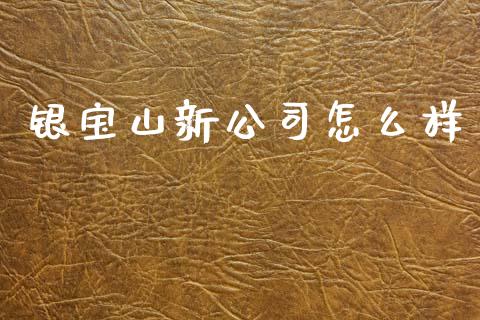 银宝山新公司怎么样_https://m.jnkyh.com_股票交易_第1张