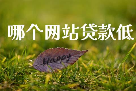哪个网站贷款低_https://m.jnkyh.com_期货开户条件_第1张