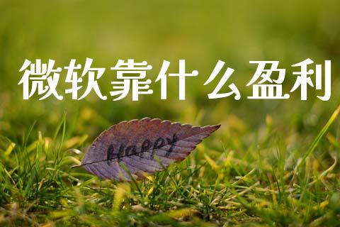 微软靠什么盈利_https://m.jnkyh.com_国际原油_第1张