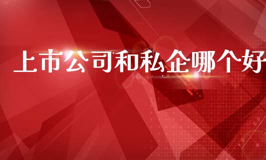 上市公司和私企哪个好_期货开户条件_第1张_股指期货_期货开户条件_国际原油_股票交易 上市公司和私企哪个好_https://m.jnkyh.com_期货开户条件_第1张