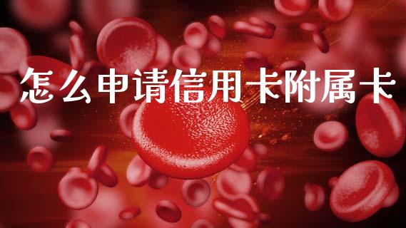 怎么申请信用卡附属卡_https://m.jnkyh.com_股票交易_第1张