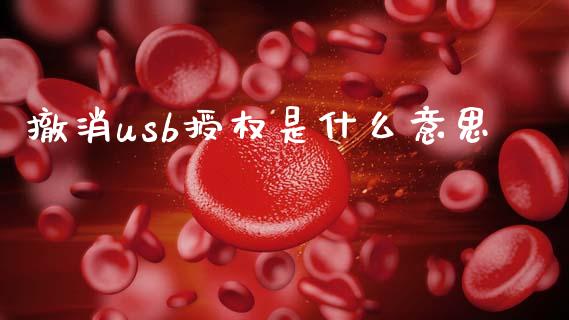 撤消usb授权是什么意思_https://m.jnkyh.com_股票交易_第1张