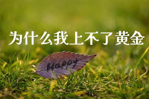 为什么我上不了黄金_https://m.jnkyh.com_股指期货_第1张