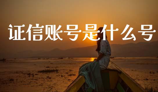 证信账号是什么号_https://m.jnkyh.com_期货开户条件_第1张