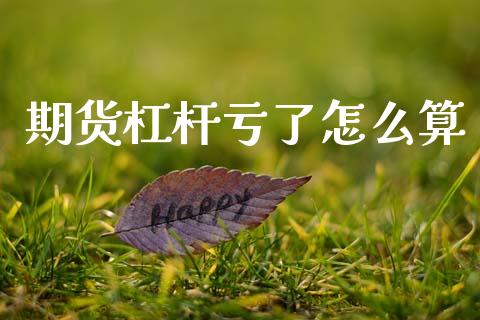 期货杠杆亏了怎么算_https://m.jnkyh.com_国际原油_第1张