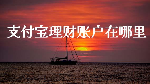 支付宝理财账户在哪里_https://m.jnkyh.com_股票交易_第1张