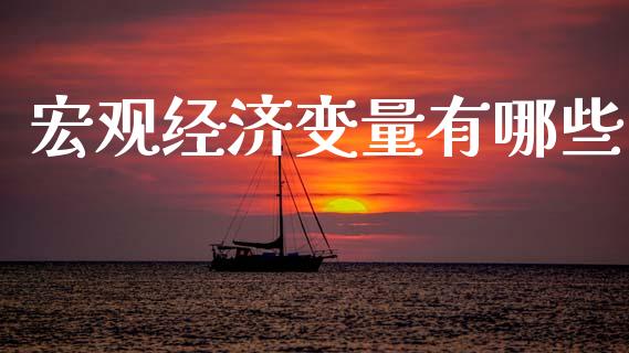 宏观经济变量有哪些_https://m.jnkyh.com_期货开户条件_第1张