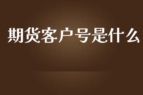 期货客户号是什么_https://m.jnkyh.com_股指期货_第1张