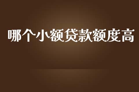 哪个小额贷款额度高_https://m.jnkyh.com_股票交易_第1张
