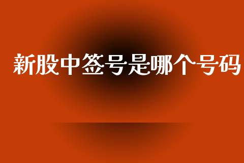 新股中签号是哪个号码_https://m.jnkyh.com_股指期货_第1张