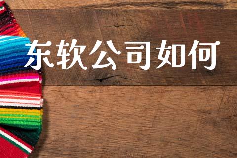 东软公司如何_https://m.jnkyh.com_股指期货_第1张