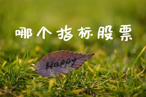 哪个指标股票_https://m.jnkyh.com_期货开户条件_第1张