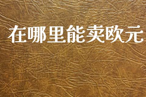 在哪里能卖欧元_https://m.jnkyh.com_股指期货_第1张