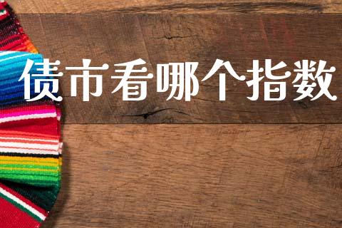 债市看哪个指数_https://m.jnkyh.com_股票交易_第1张