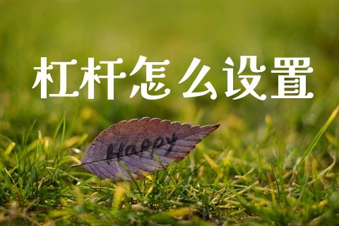 杠杆怎么设置_https://m.jnkyh.com_国际原油_第1张