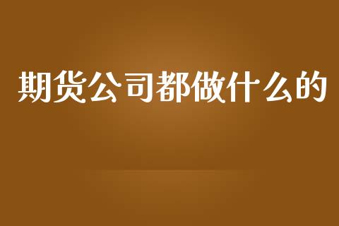 期货公司都做什么的_https://m.jnkyh.com_期货开户条件_第1张