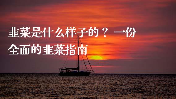 韭菜是什么样子的？ 一份全面的韭菜指南_https://m.jnkyh.com_国际原油_第1张