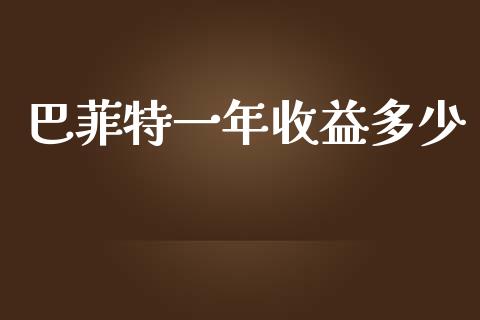 巴菲特一年收益多少_https://m.jnkyh.com_股指期货_第1张