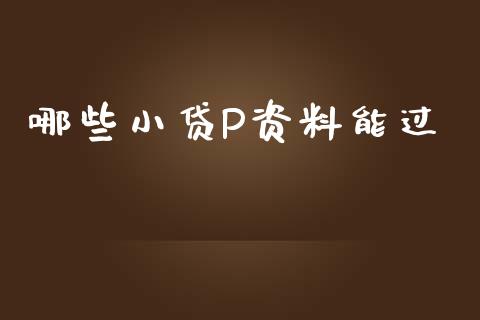 哪些小贷P资料能过_https://m.jnkyh.com_期货开户条件_第1张