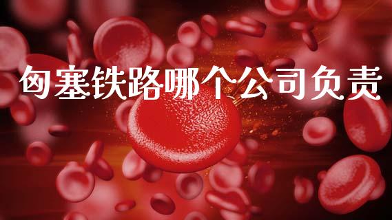 匈塞铁路哪个公司负责_https://m.jnkyh.com_股票交易_第1张