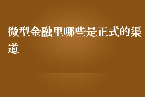 微型金融里哪些是正式的渠道_https://m.jnkyh.com_国际原油_第1张