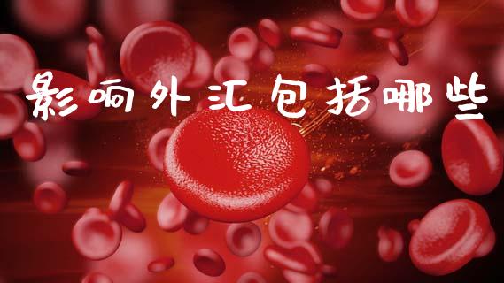 影响外汇包括哪些_https://m.jnkyh.com_期货开户条件_第1张