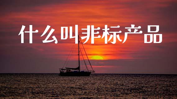什么叫非标产品_股票交易_第1张_股指期货_期货开户条件_国际原油_股票交易 什么叫非标产品_https://m.jnkyh.com_股票交易_第1张
