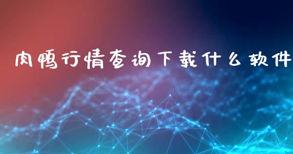 肉鸭行情查询下载什么软件_https://m.jnkyh.com_股票交易_第1张