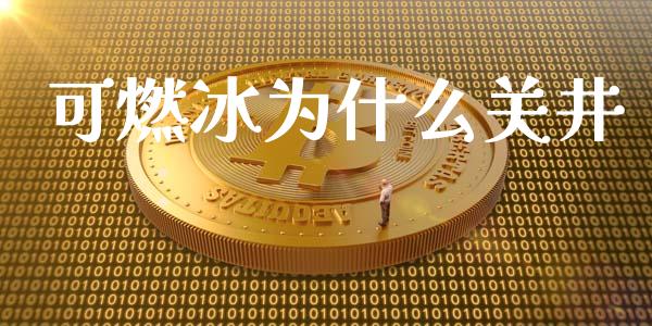 可燃冰为什么关井_https://m.jnkyh.com_国际原油_第1张