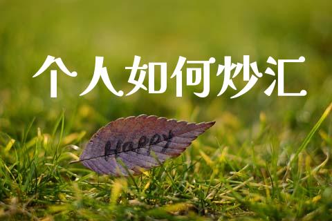 个人如何炒汇_https://m.jnkyh.com_期货开户条件_第1张