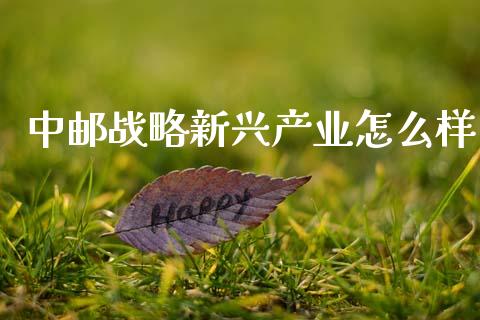 中邮战略新兴产业怎么样_https://m.jnkyh.com_国际原油_第1张