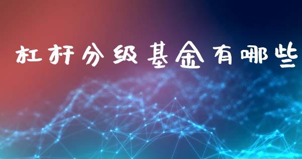 杠杆分级基金有哪些_https://m.jnkyh.com_股指期货_第1张