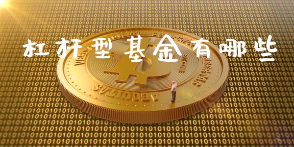 杠杆型基金有哪些_https://m.jnkyh.com_国际原油_第1张