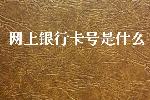 网上银行卡号是什么_https://m.jnkyh.com_股指期货_第1张