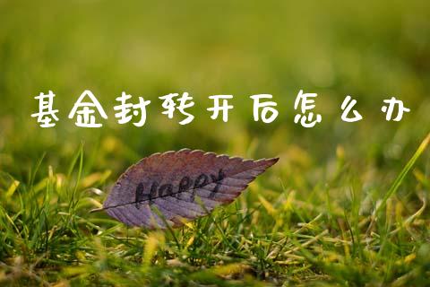 基金封转开后怎么办_https://m.jnkyh.com_国际原油_第1张