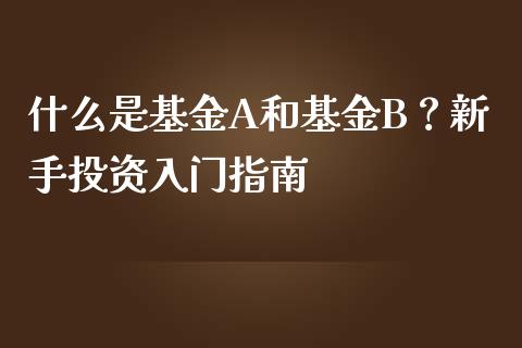 什么是基金A和基金B？新手投资入门指南_https://m.jnkyh.com_期货开户条件_第1张