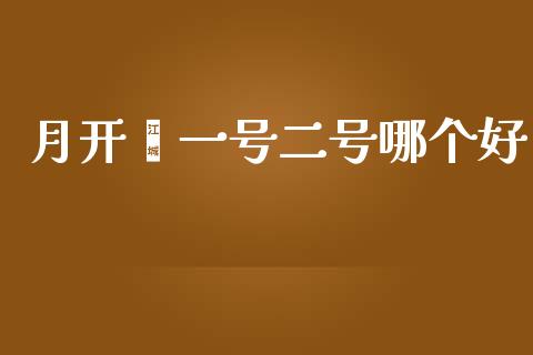 月开鑫一号二号哪个好_https://m.jnkyh.com_国际原油_第1张