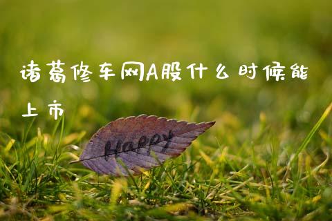 诸葛修车网A股什么时候能上市_https://m.jnkyh.com_期货开户条件_第1张